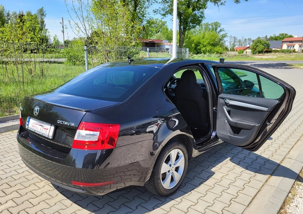 Skoda Octavia cena 49500 przebieg: 68000, rok produkcji 2019 z Człuchów małe 529